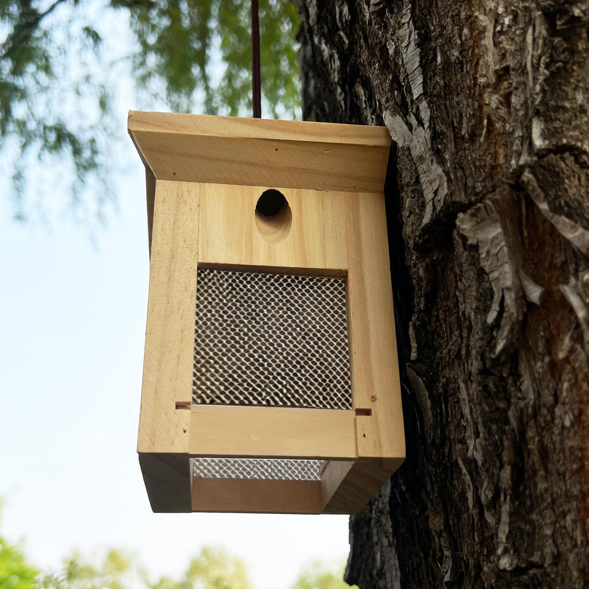 Generic natural finish complements outdoor spaces; rustic charm for garden areas.