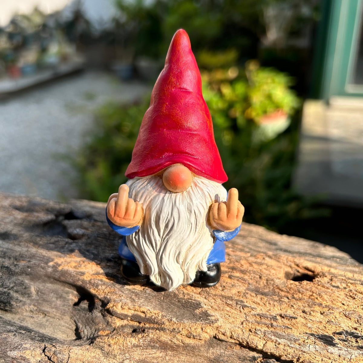 Generic Naughty Garden Gnome stands out with playful mischief in any garden.