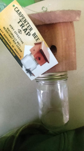 Generic outdoor-bee trap placement ideas highlight easy mounting.