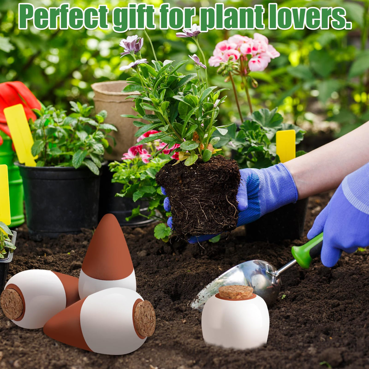 Generic Outdoor garden setup with terracotta spikes supporting plant health