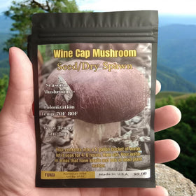 Generic outdoor grow patch setup demonstrating simple wine cap cultivation.