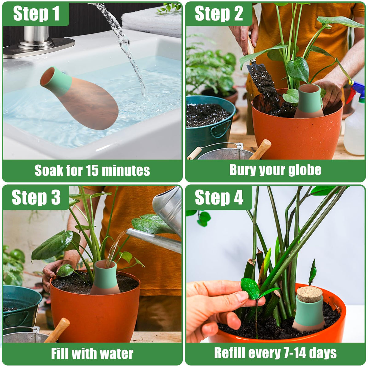 Generic self-watering globes for indoor and outdoor plants use.