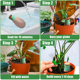 Generic self-watering globes for indoor and outdoor plants use.