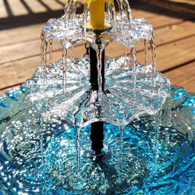 Generic patio yard bird watering feature supports wildlife and relaxation