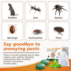Generic peppermint-oil-rodent-deterrent-pack delivers long-lasting mint scent indoors.