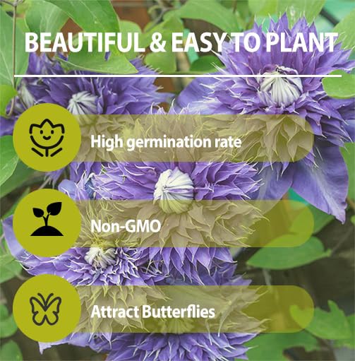 Generic sowing guide visuals show stratification and germination steps