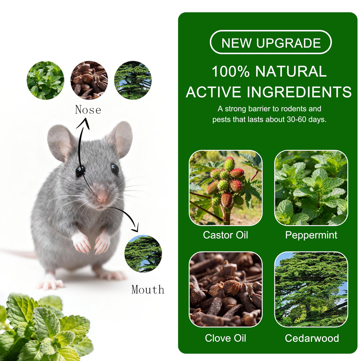 Generic pet-safe rodent deterrent ball, indoor outdoor solution to deter mice naturally