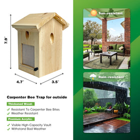 Generic traps with plastic blocker demonstrate combined defense against wood damage.