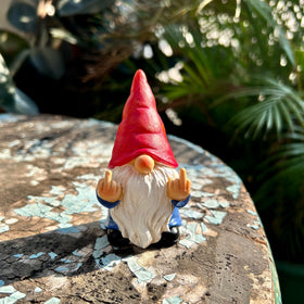Generic Poly Resin Weather-Resistant Gnome stays vibrant through seasons.