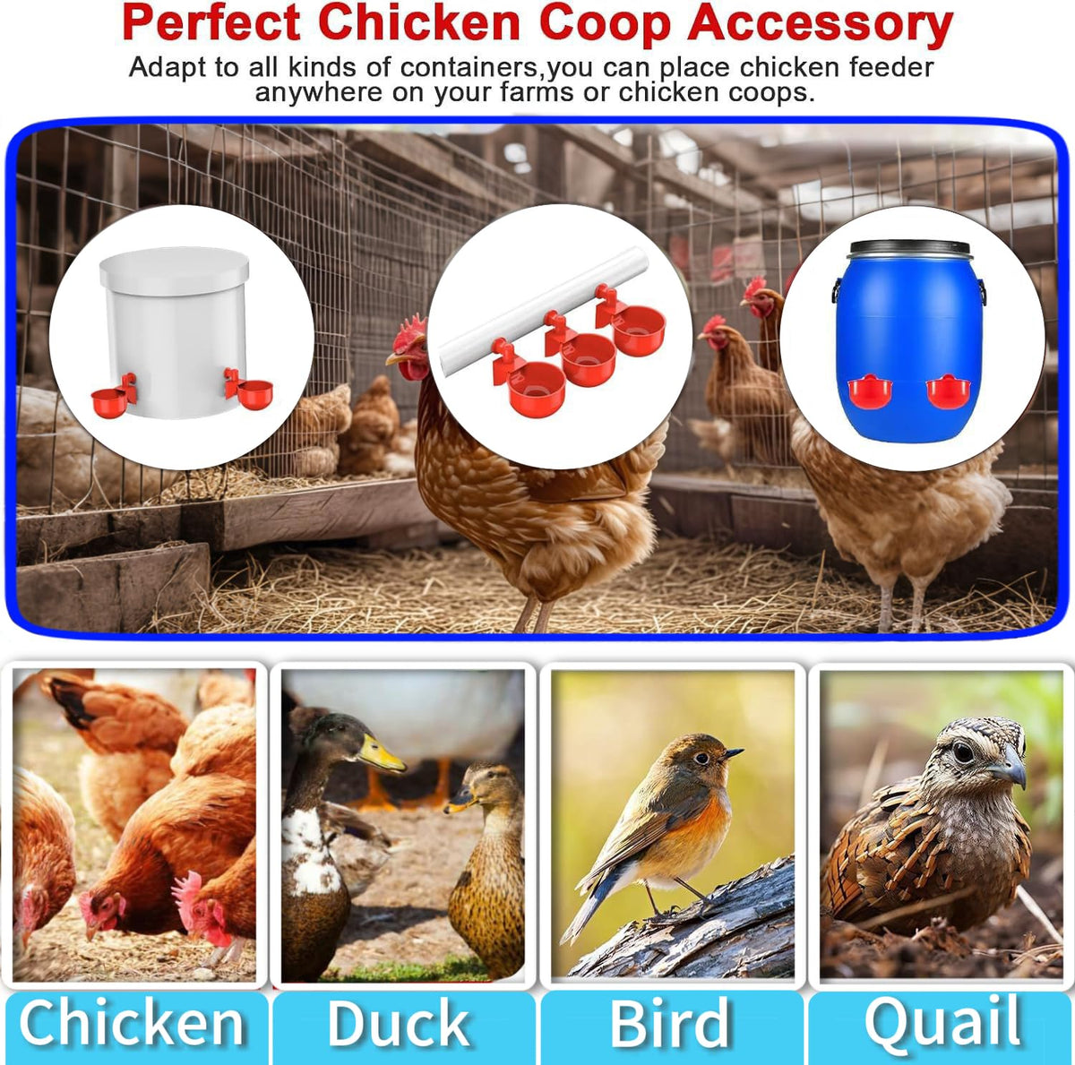 Generic poultry waterer in use promoting clean coops and drinking.