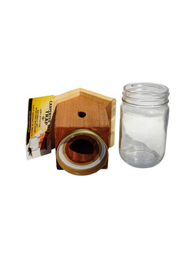 Generic pre-baited red cedar scent trap showcases natural lure for bees.