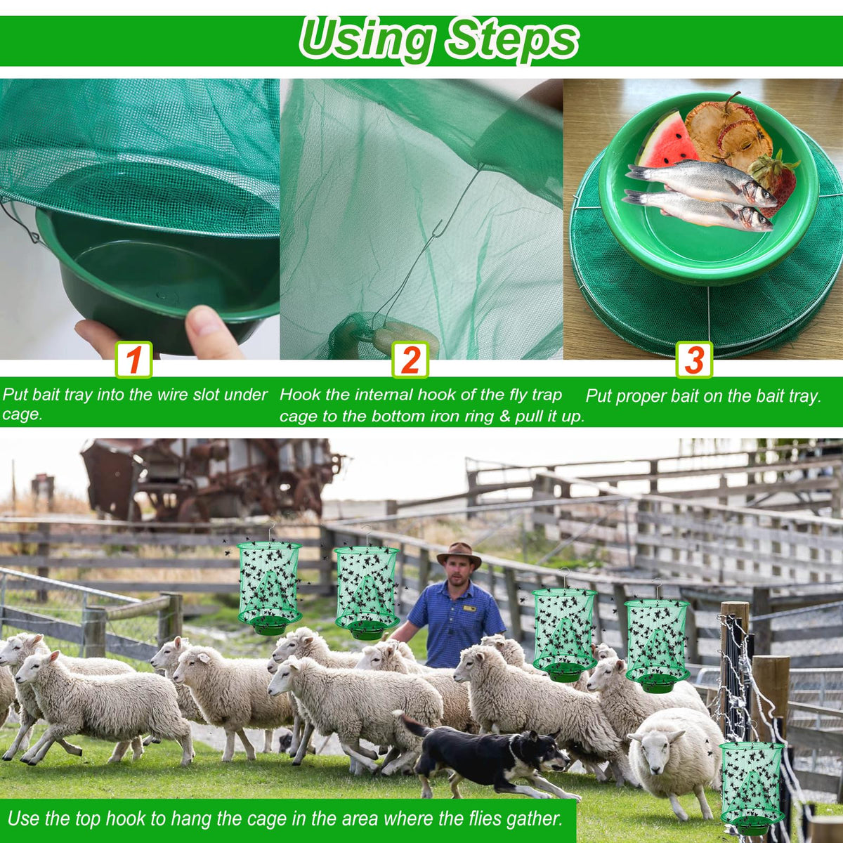 Generic Ranch Fly Trap garden-use shows versatile pest control in yards and orchards.