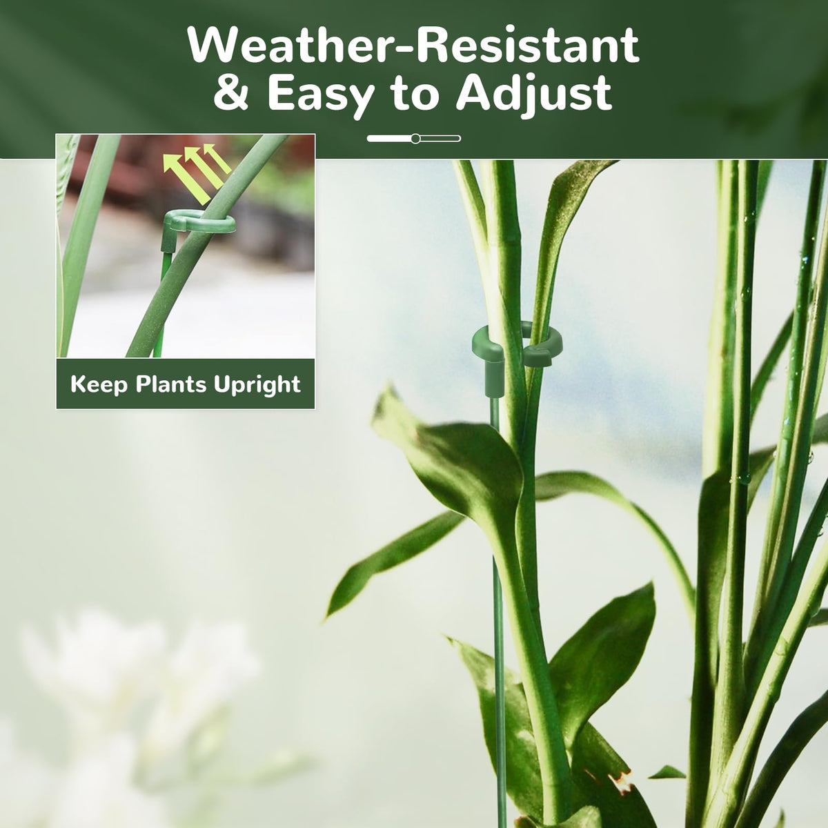 Generic soft-ring clips provide gentle stem support for delicate flowers