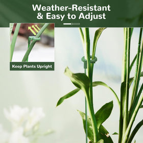 Generic soft-ring clips provide gentle stem support for delicate flowers