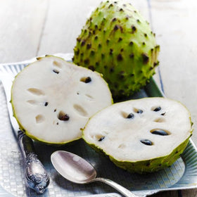 Generic Soursop tree in garden enhances tropical appeal with ornamental foliage.