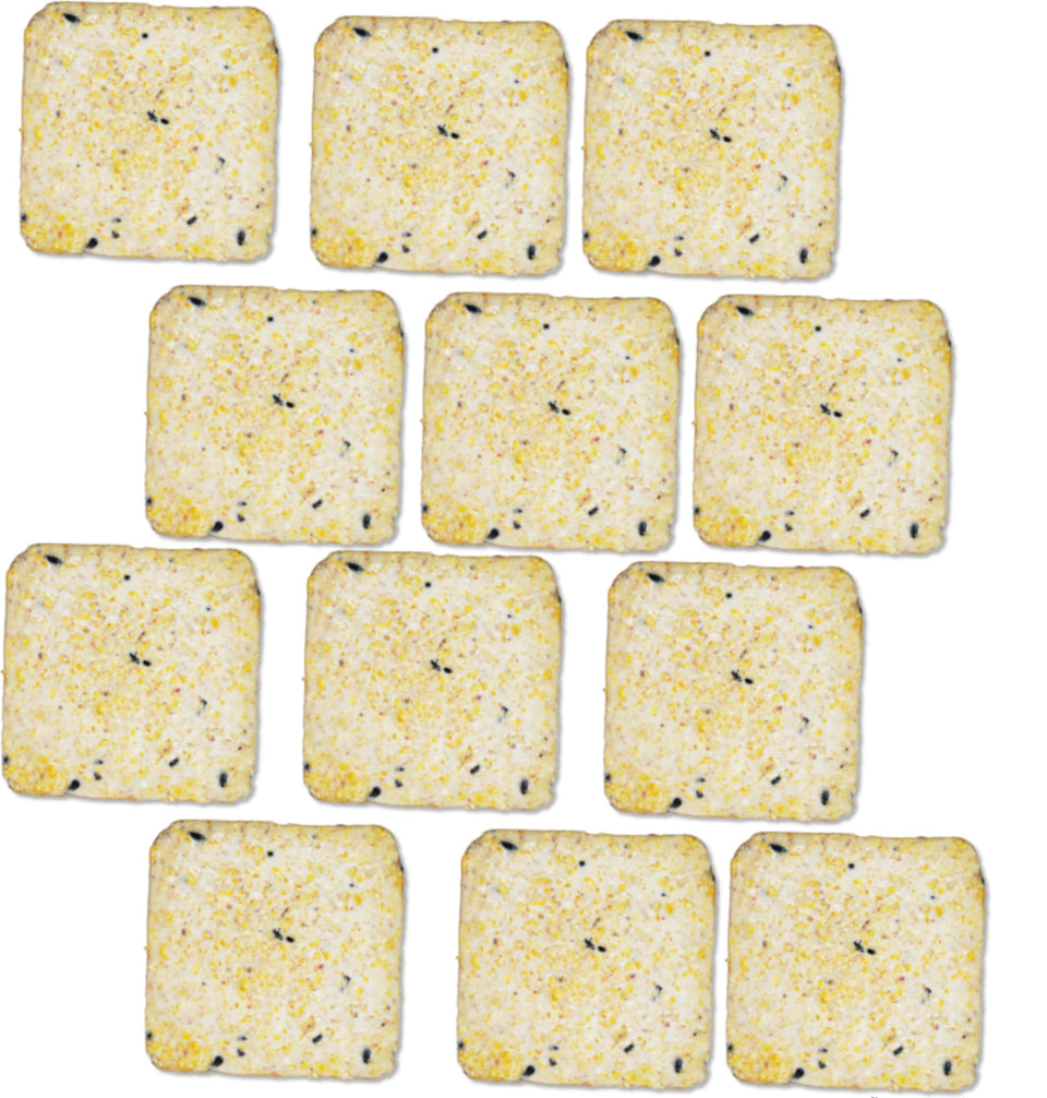 Generic Suet Cake 12-Pack packaging closeup showcases melt-resistant formula for year-round feeding.