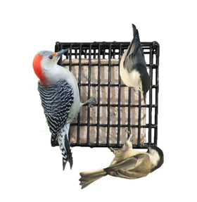 Generic Suet Cake 12-Pack attracts woodpeckers and other perching birds in your yard.