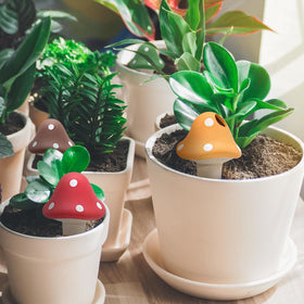 Generic terracotta spike with mushroom design supports root moisture and easy filling.
