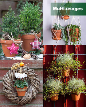 Generic terracotta pots suitable for indoor and outdoor use and decor.