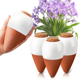 Generic Terracotta Watering Spikes in soil delivering steady moisture to roots