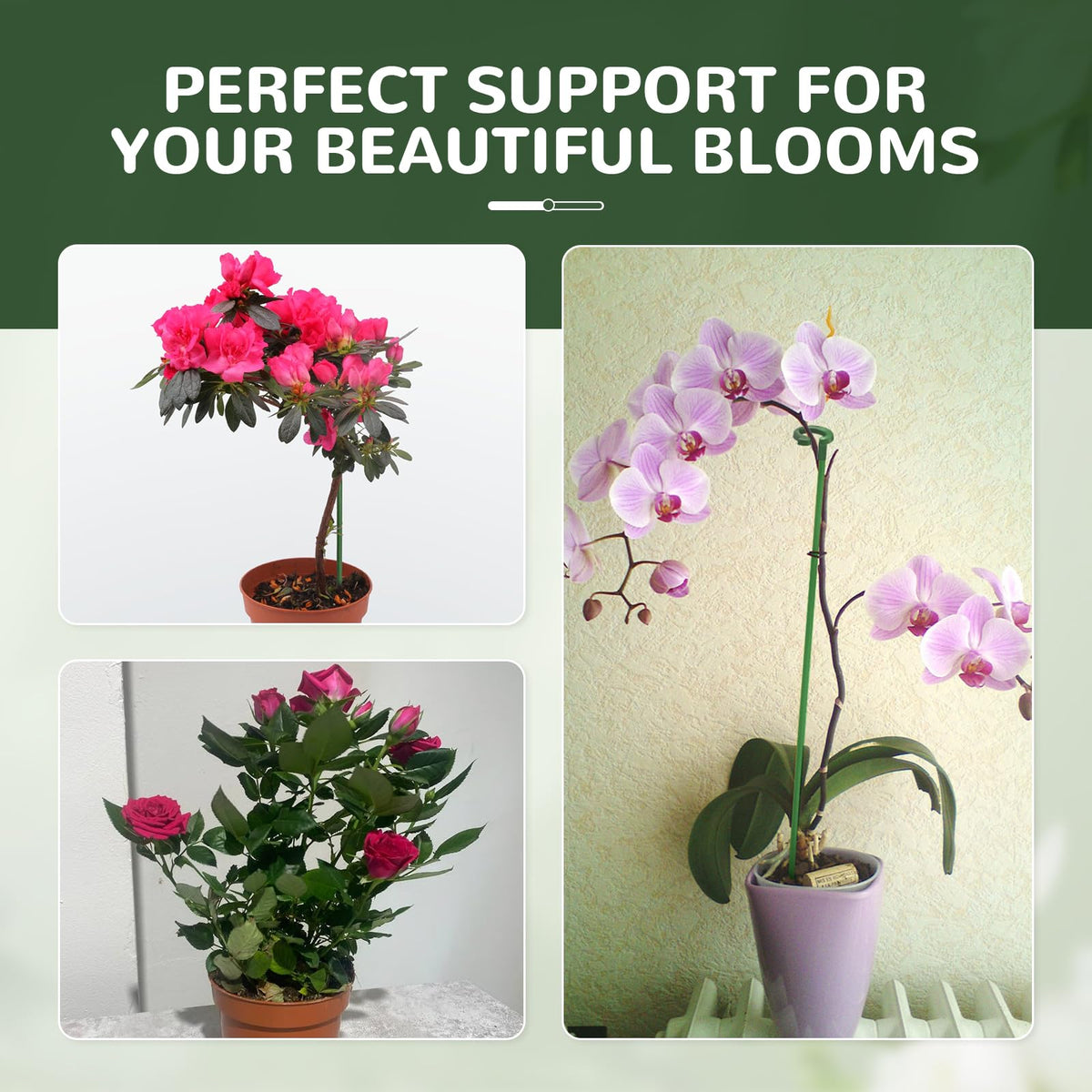 Generic three-size stake system with heights 6.7, 10.6, 14.6 inches for growing plants