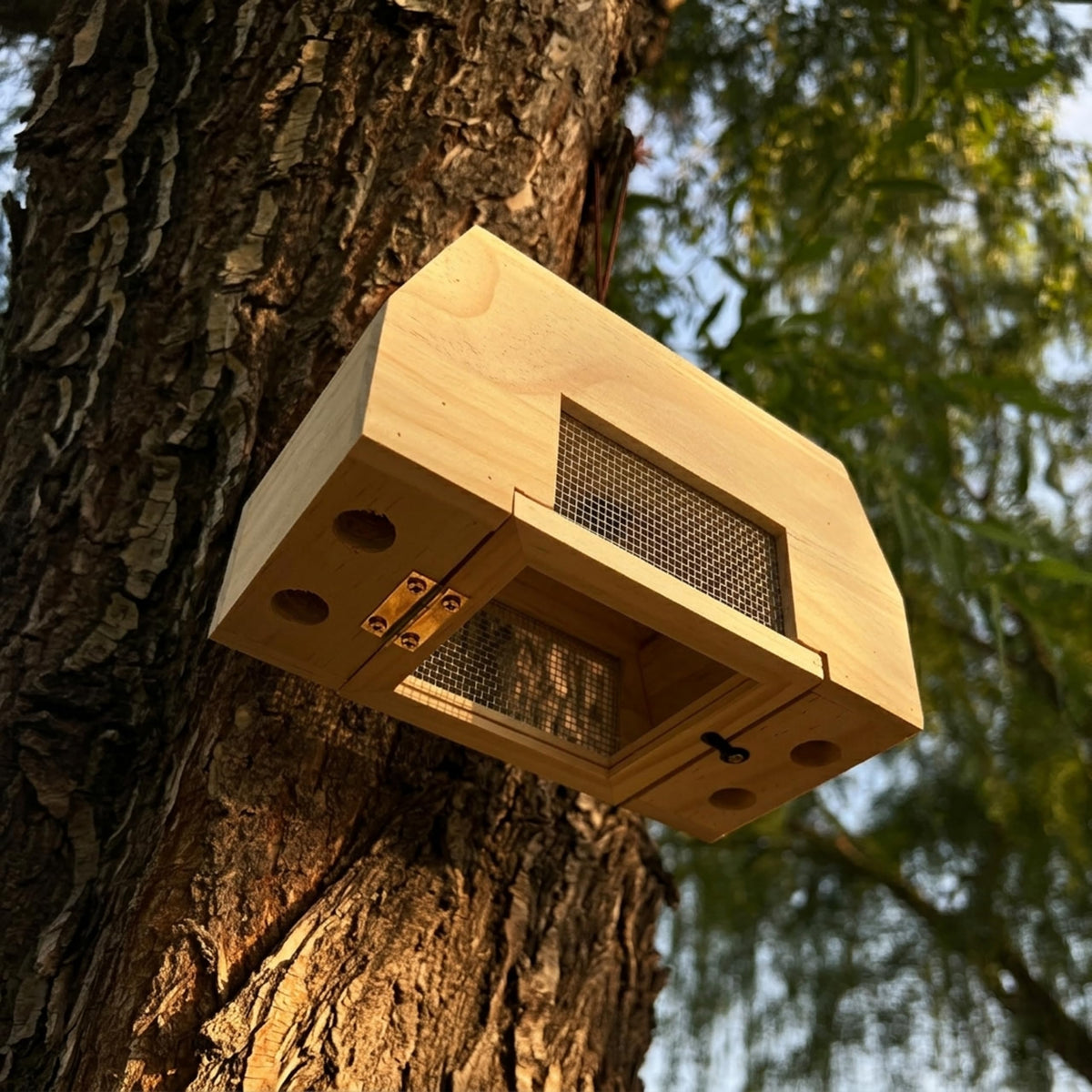 Generic trap with blocker helps protect structures while respecting pollinators