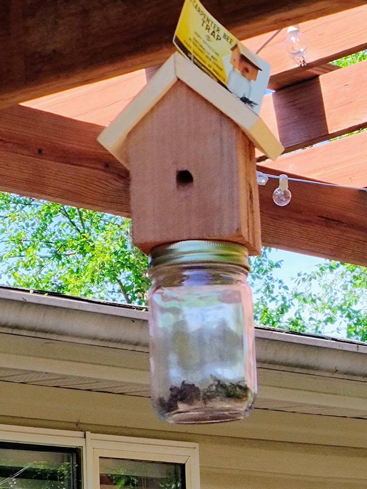 Generic trap installed on an eave for easy placement and maximum impact