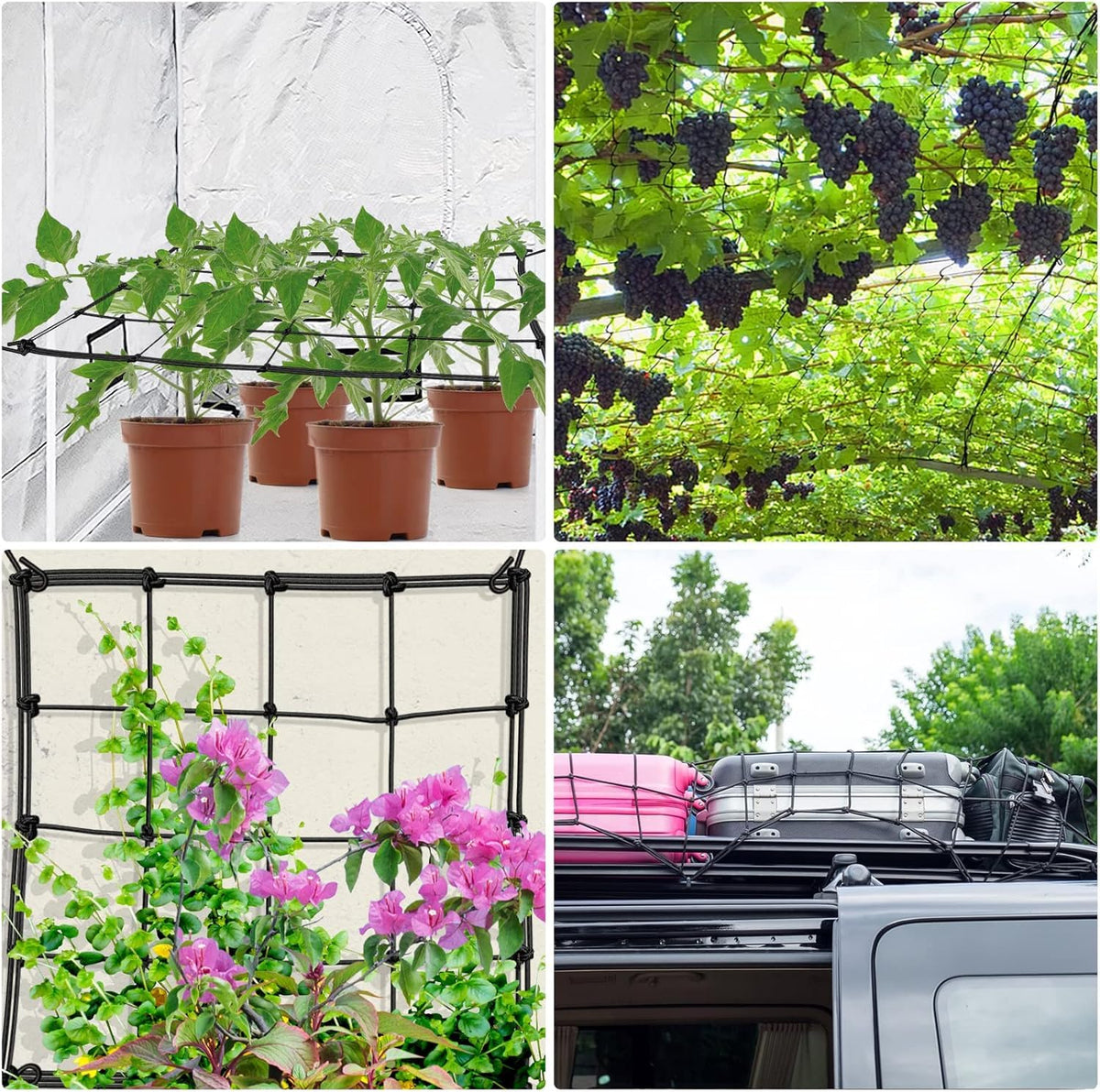 Strong support for flowers, fruits, and vegetables