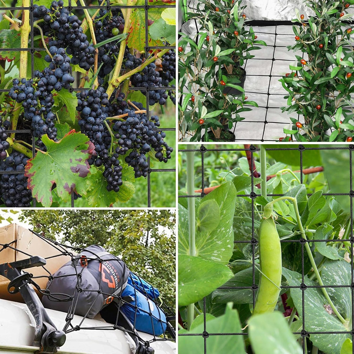 Generic trellis net folded for compact storage after use.
