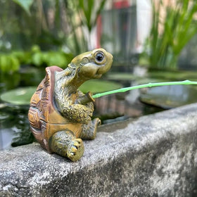 Charming turtle gift for nature lovers and gardeners.
