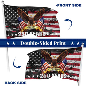 Generic 250th Anniversary USA Flag in-yard display.