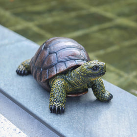 Generic turtle statue close-up shows facial details and shell texture.