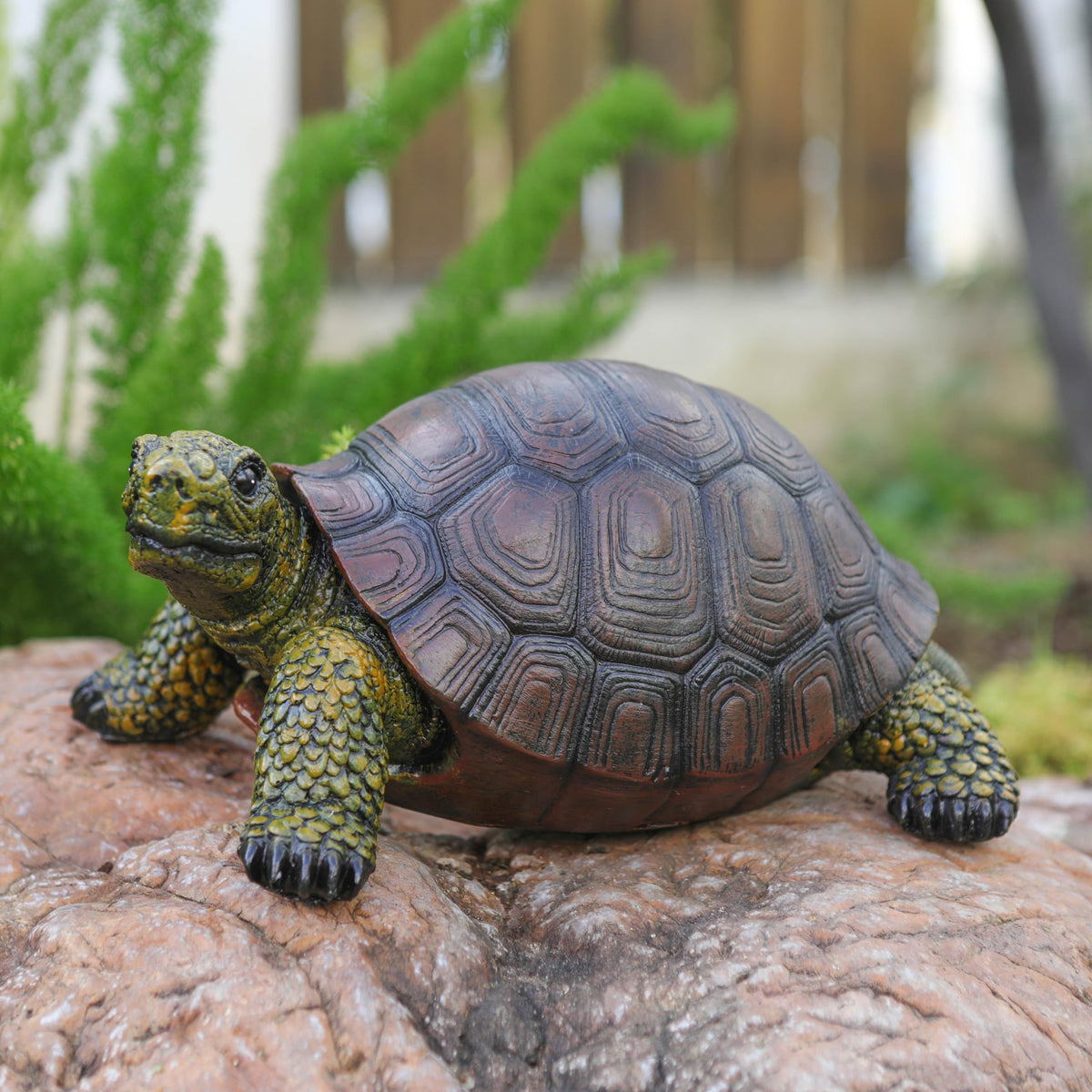 Generic turtle statue in garden setup adds whimsical charm.