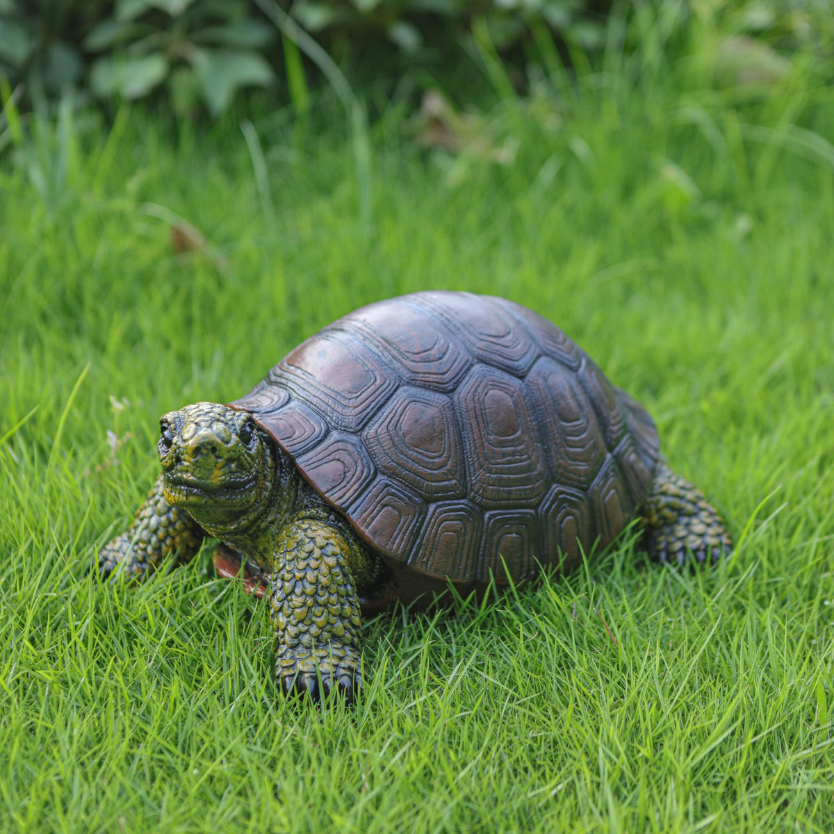 Generic turtle statue with colorful packaging hints at gift ideas.