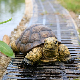 Generic turtle statue side view highlighting craftsmanship for garden accents.