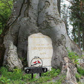 Generic Weatherproof Cardinal Decor keeps a lasting remembrance outdoors.