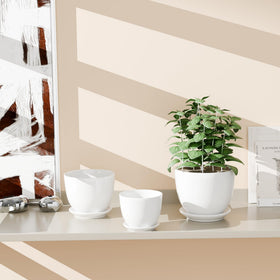 Generic white ceramic pot with attached drip pan for clean drainage.
