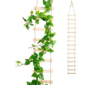 Generic wooden ladder trellis 6ft for indoor plant support with a natural finish.