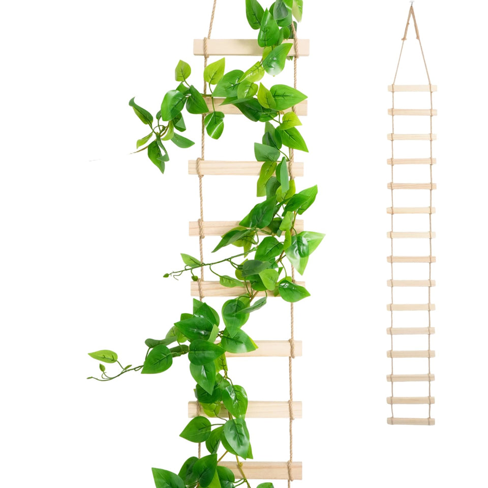 Generic wooden ladder trellis 6ft for indoor plant support with a natural finish.