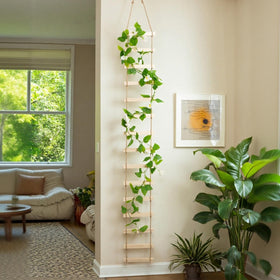 Generic wooden ladder trellis decorates walls while supporting ivy and other climbers.