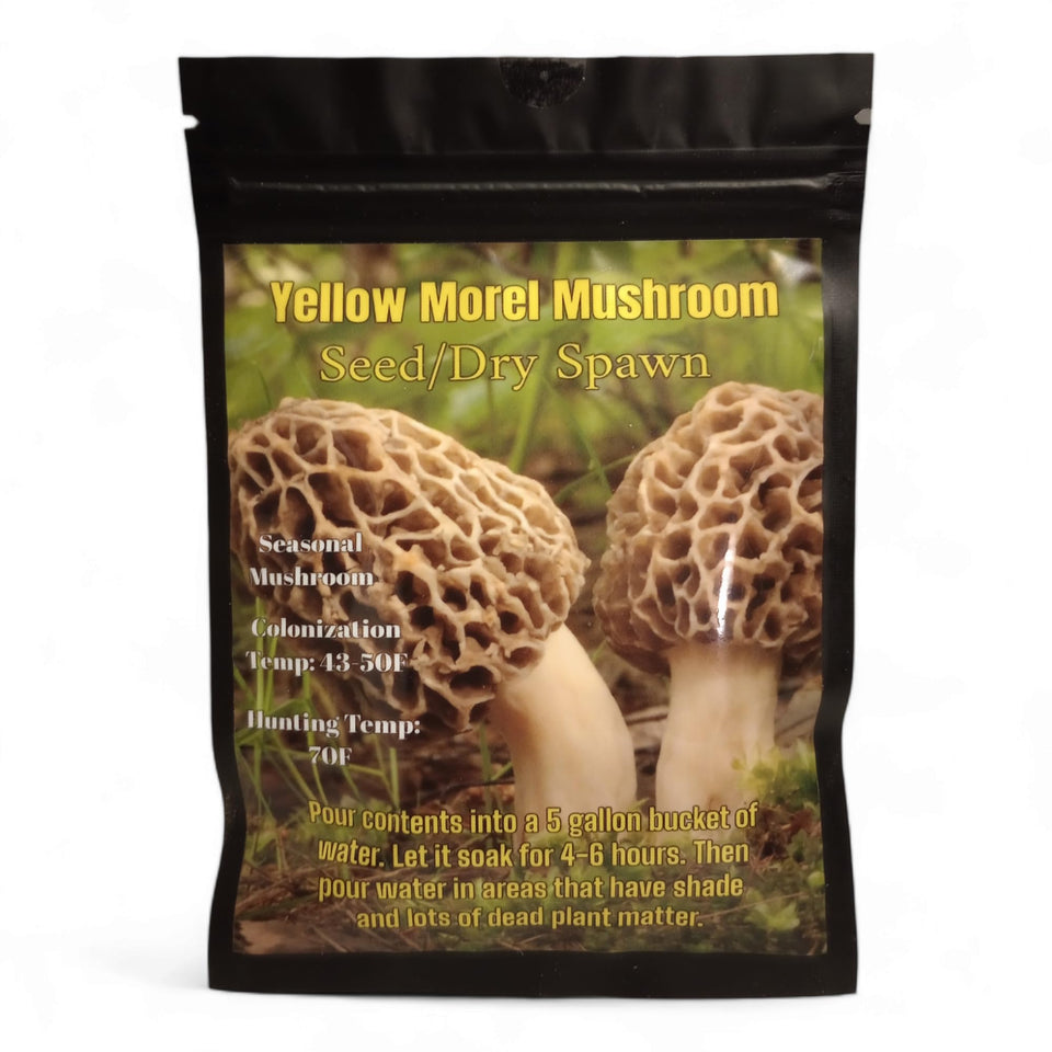 Generic Yellow Morel Seed/Dry Spawn Pack for outdoor cultivation and easy setup.