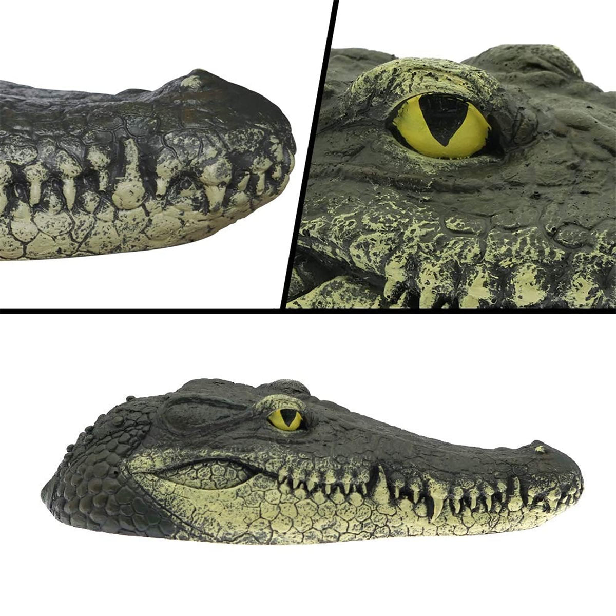 Geniff Gator Head lasts outdoors with varnish for longevity.
