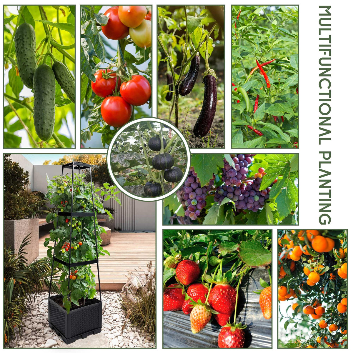 GENMOUS 3-tiered tomato planter with trellis, front view, highlighting accessible harvest height