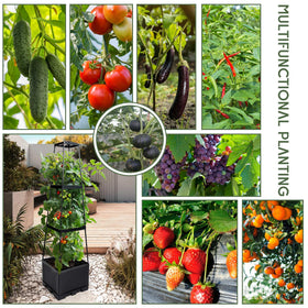 GENMOUS 3-tiered tomato planter with trellis, front view, highlighting accessible harvest height