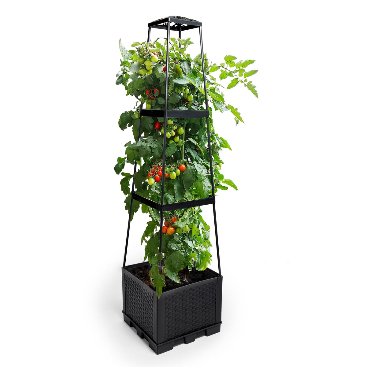 GENMOUS 3-tiered tomato planter with trellis, side view, showing compact vertical gardening potential