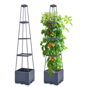 GENMOUS raised garden bed with trellis for vertical tomato growth outdoors