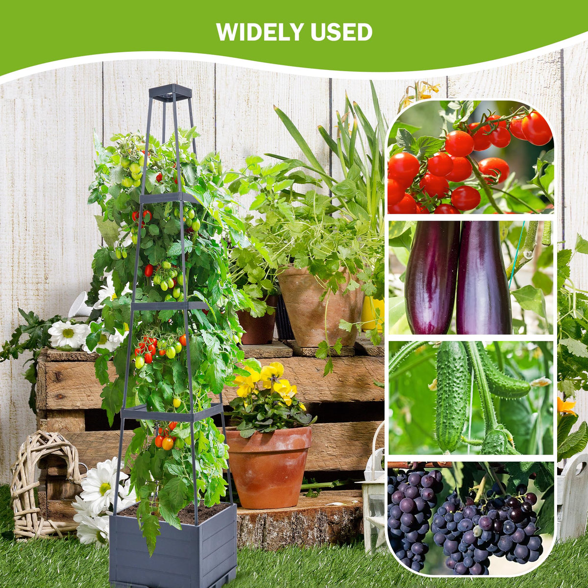 GENMOUS vertical garden system maximizes small spaces for vines