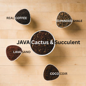 GeoJava gritty mix with lava sand and coco coir supports rapid root growth.