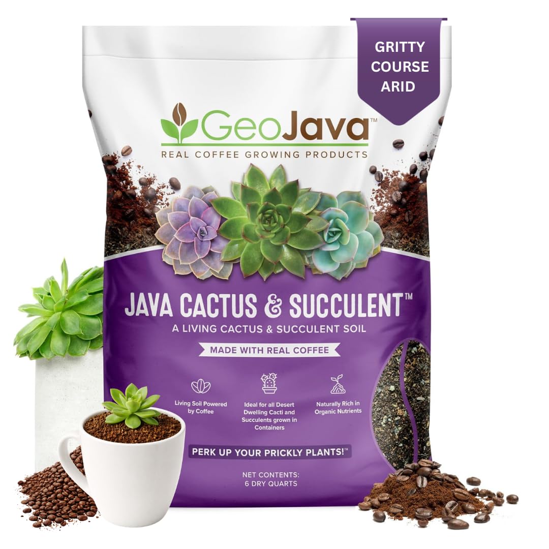 GeoJava Java Cactus Soil in a 6QT bag, ready for potting cacti and succulents.