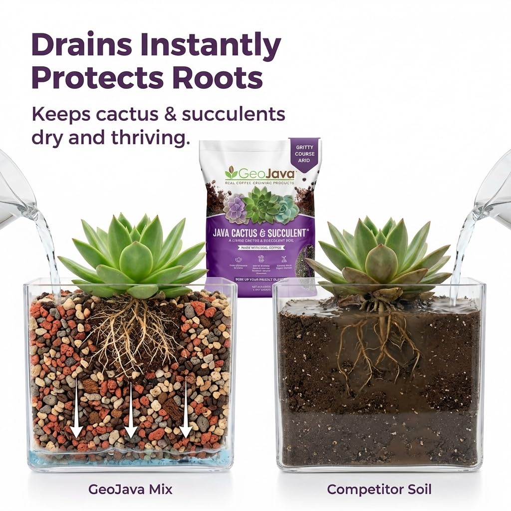 GeoJava peat-free cactus soil texture close-up showing gritty, fast-draining mix for healthy roots.